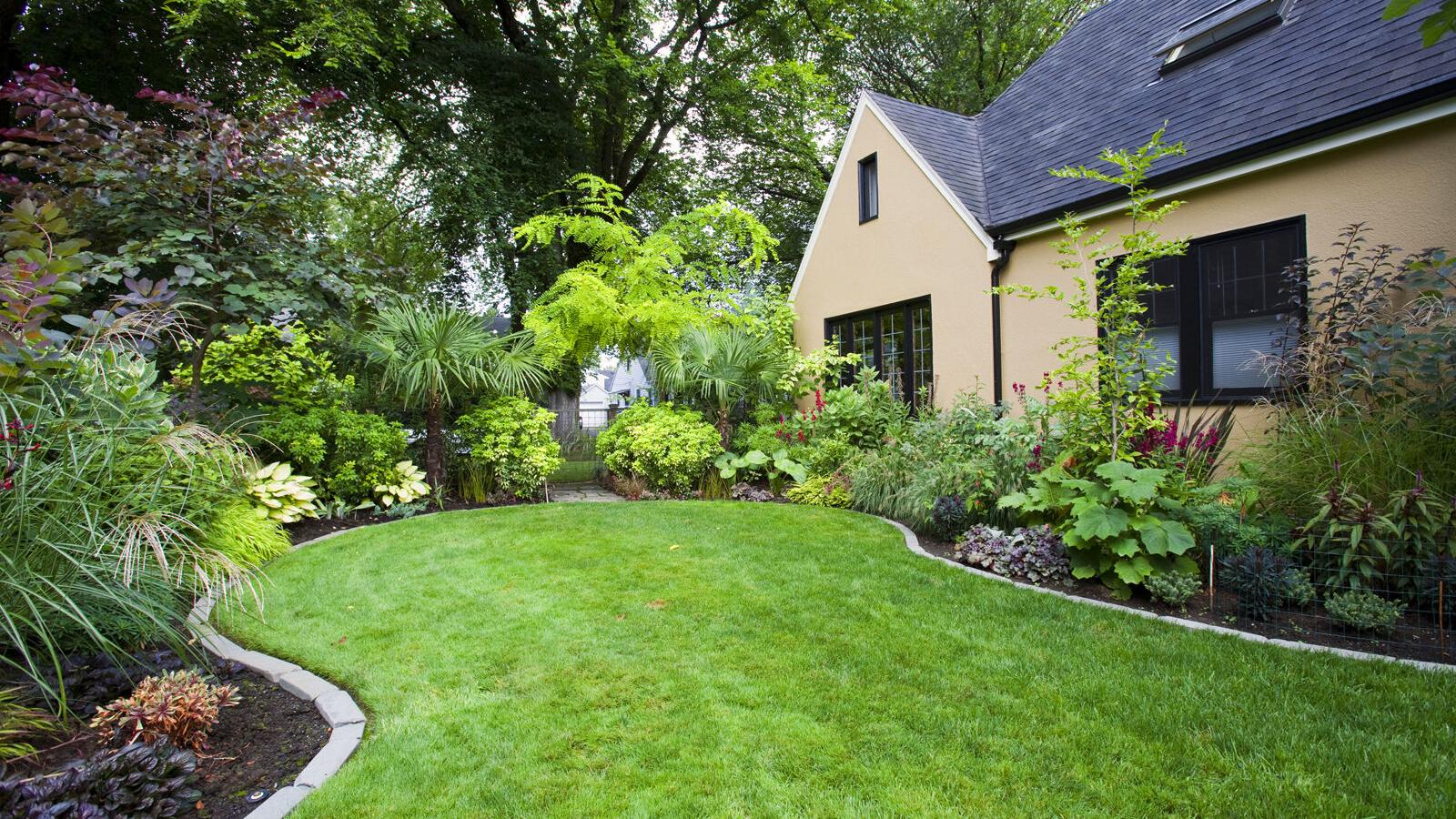 Elizabeth Exstrom: Looking for a lush lawn? Even with fall approaching, it’s not too late